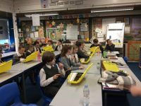 xylophones3